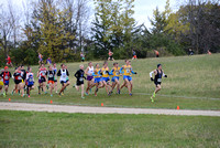 Section 6AA 2013 183