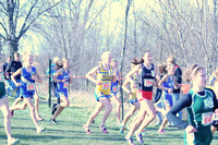State XC 2010 248