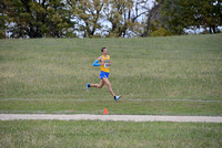 Section 6AA 2013 178