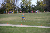 Section 6AA 2013 172