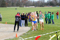 Sections 6AA 2010 022