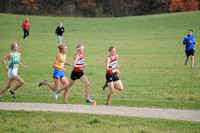 Sections 6AA 2010 011