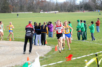 Sections 6AA 2010 014
