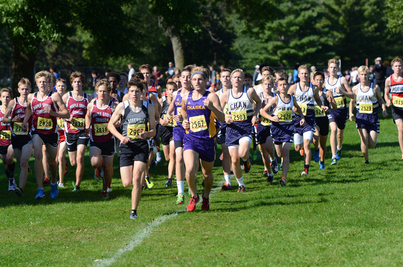 Metro Invite (383)