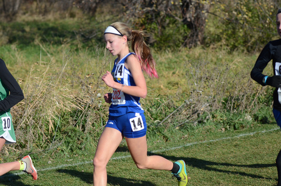 State XC 2015 (75)