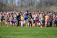 State XC 2015 (213)