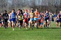 State XC 2015 (215)
