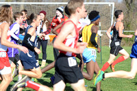 State XC 2015 (226)