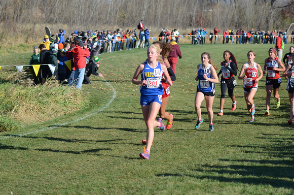 State XC 2015 (65)