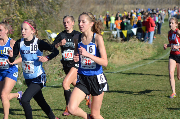 State XC 2015 (81)