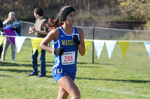 State XC 2015 (194)