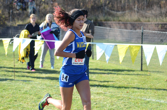 State XC 2015 (193)