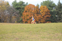 Section 6AA 10-26-2011 015
