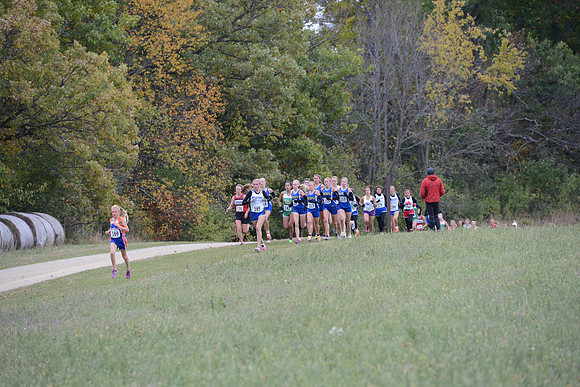Section 6AA 2013 003