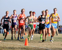 MN State Cross Country Meet