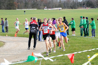 Sections 6AA 2010 016