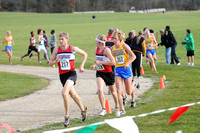 Sections 6AA 2010 018
