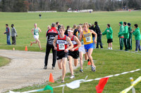Sections 6AA 2010 017