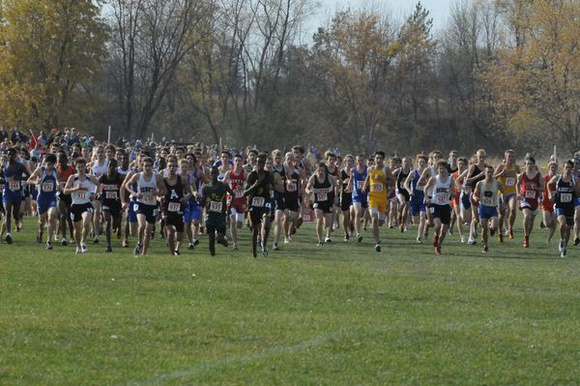 MN State XC 208 744