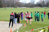 Sections 6AA 2010 013