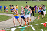 Sections 6AA 2010 024