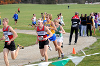 Sections 6AA 2010 021