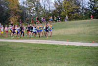 Section 6AA 2013 181