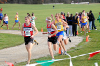 Sections 6AA 2010 019