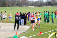 Sections 6AA 2010 015