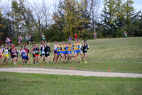 Section 6AA 2013 182
