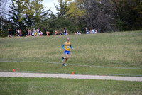 Section 6AA 2013 173