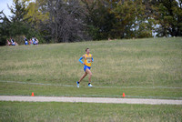 Section 6AA 2013 174