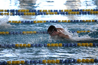 Wayzata Swimming