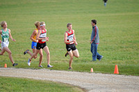 Sections 6AA 2010 012