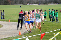 Sections 6AA 2010 023